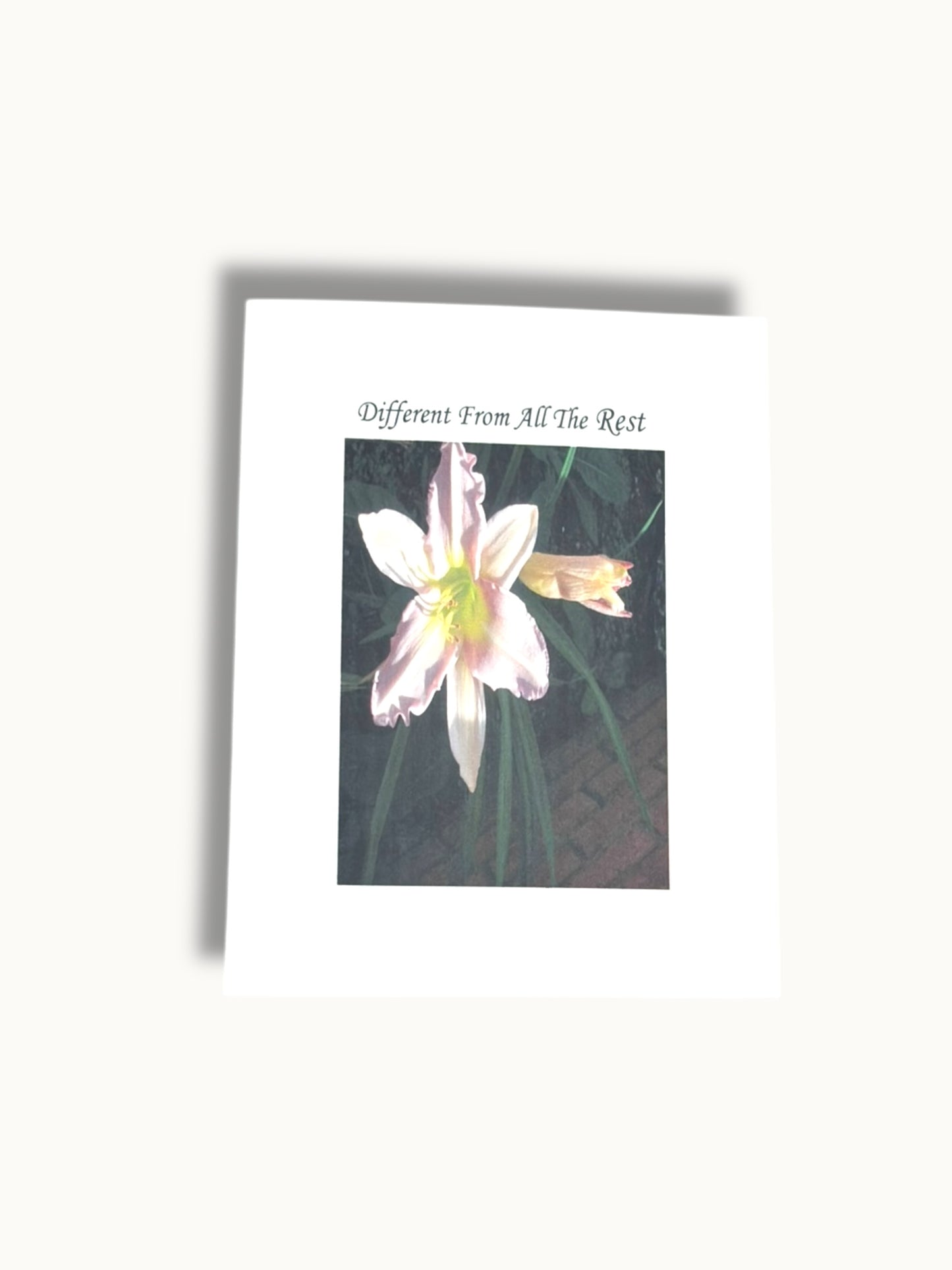 Different From All The Rest Greeting Card