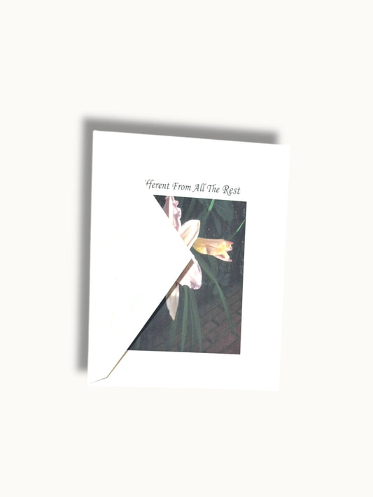 Different From All The Rest Greeting Card